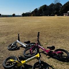 4/5ストライダーピクニック！ちはら台公園 - 市原市