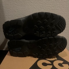 Nike ACG Air Mada "Ash Green"の画像