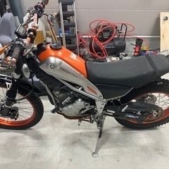 トリッカー売ります　DG16トライアル仕様　乗って帰れます　自賠責 R10年まで林道　オフロード　セロッカー　インジェクションの画像