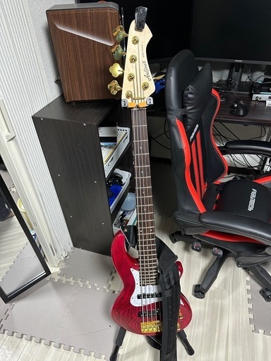 音楽完全引退放出品