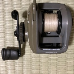 リール