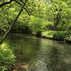 釣り友募集（火水木） − 東京都