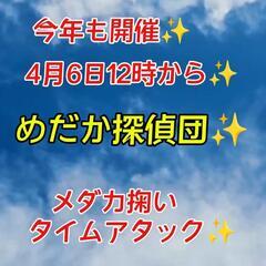メダカすくいタイムアタック2025✨️今年も開催！