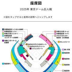 巨人オープン戦チケット