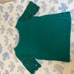 レイリーゼ　　グリーン　
レースTシャツの画像