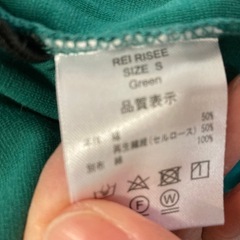 レイリーゼ　　グリーン　
レースTシャツの画像