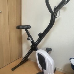 ⚠︎値下げしました¥5000→¥2500　TIGORAフィットネ...