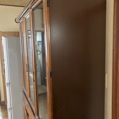 今日明日至急  引き取り希望です！の画像
