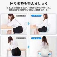新品　姿勢矯正 椅子【整体師・理学療法士推薦】バランスチェア 腰痛対策 椅子の画像