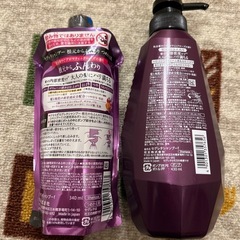 セグレタ　シャンプー　本体＆詰替用の画像