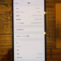 Apple iPhone 12mini ブルー 本体256GBの画像