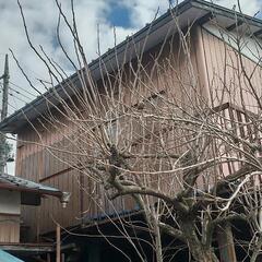 値下げ★4/3まで受付け★お早めに★ コンテナハウス　倉庫　スー...