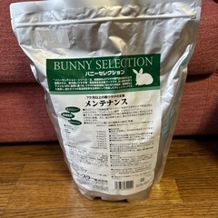 バニーセレクション　メンテナンスの画像