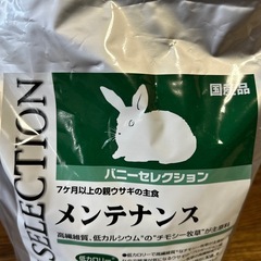 バニーセレクション　メンテナンスの画像