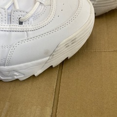 ディスラプター2ホワイト（28cm）の画像