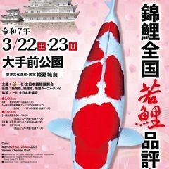 全国錦鯉品評会