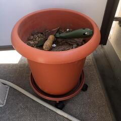 花盆.土と工具ありの画像