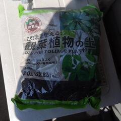 花盆.土と工具ありの画像