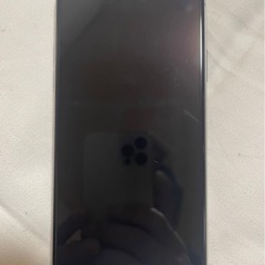 iPhone11Pro MAX256GB    