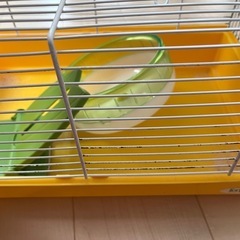 小動物飼育セット
の画像