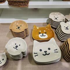 いろんな動物のこざら