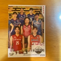 SVリーグ　バレーボール オールスターゲーム トレカセットの画像