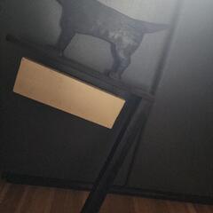 DIY  犬　看板