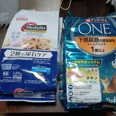 成猫用ドライフードの画像