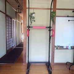 懸垂　健康器具　ぶら下がり