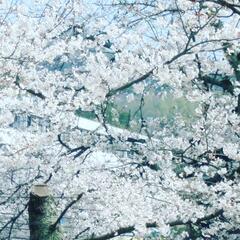 松山工業高校の学用品