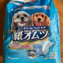 犬用紙オムツM残り24枚