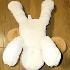 イヌのぬいぐるみの画像