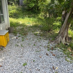 11月22日（土）実家の掃除、草刈り（4時間程度）