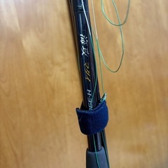 海釣りの画像