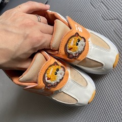 18.0㌢の画像