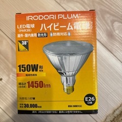 IRODORI PLUMハイビーム電球タイプ屋外屋内兼用散光型