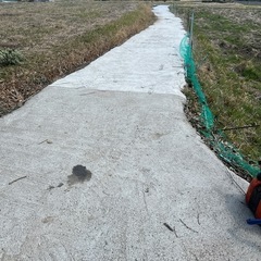 薪　キャンプ　ストーブ　取り放題の画像