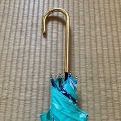 婦人傘の画像