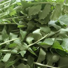 2名限定、無農薬❦❦大根の葉っぱ
