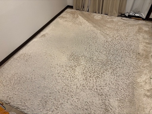 200×250 オフホワイトのラグ
