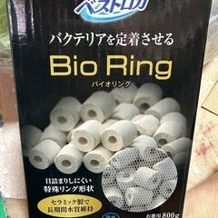 GEXベストロカ