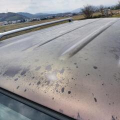 4月限定☆低燃費ダイハツココア4WDの画像