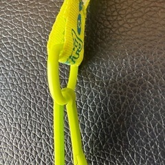 ディズニー 　バズライトイヤーズ パスケース ネックストラップの画像