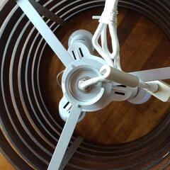 照明器具　ニトリ　ペンダントライトの画像