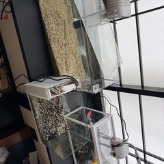 メダカ　熱帯魚　水槽　値下げ5000→3500