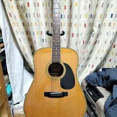 Morris　ギター