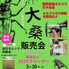 オオクワガタやシュリンプ