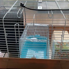 小動物飼育セット