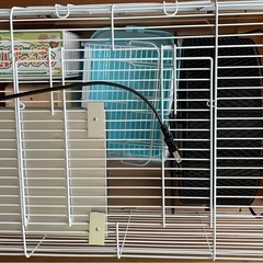 小動物飼育セットの画像