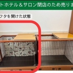 ◆値下げ◆ボンビアルコン ◆ウッドワンサークル◆BONBI◆の画像